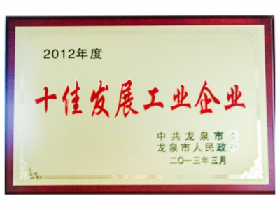 2012年度十佳發(fā)展工業(yè)企業(yè)